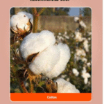 UPL Lancer Gold Insecticide - Image 3