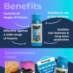 Solomon Insecticide - Image 3