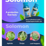 Solomon Insecticide - Image 2